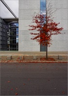 Caption Text