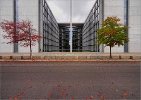 Caption Text