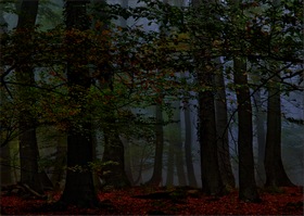 Caption Text