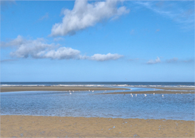 Caption Text